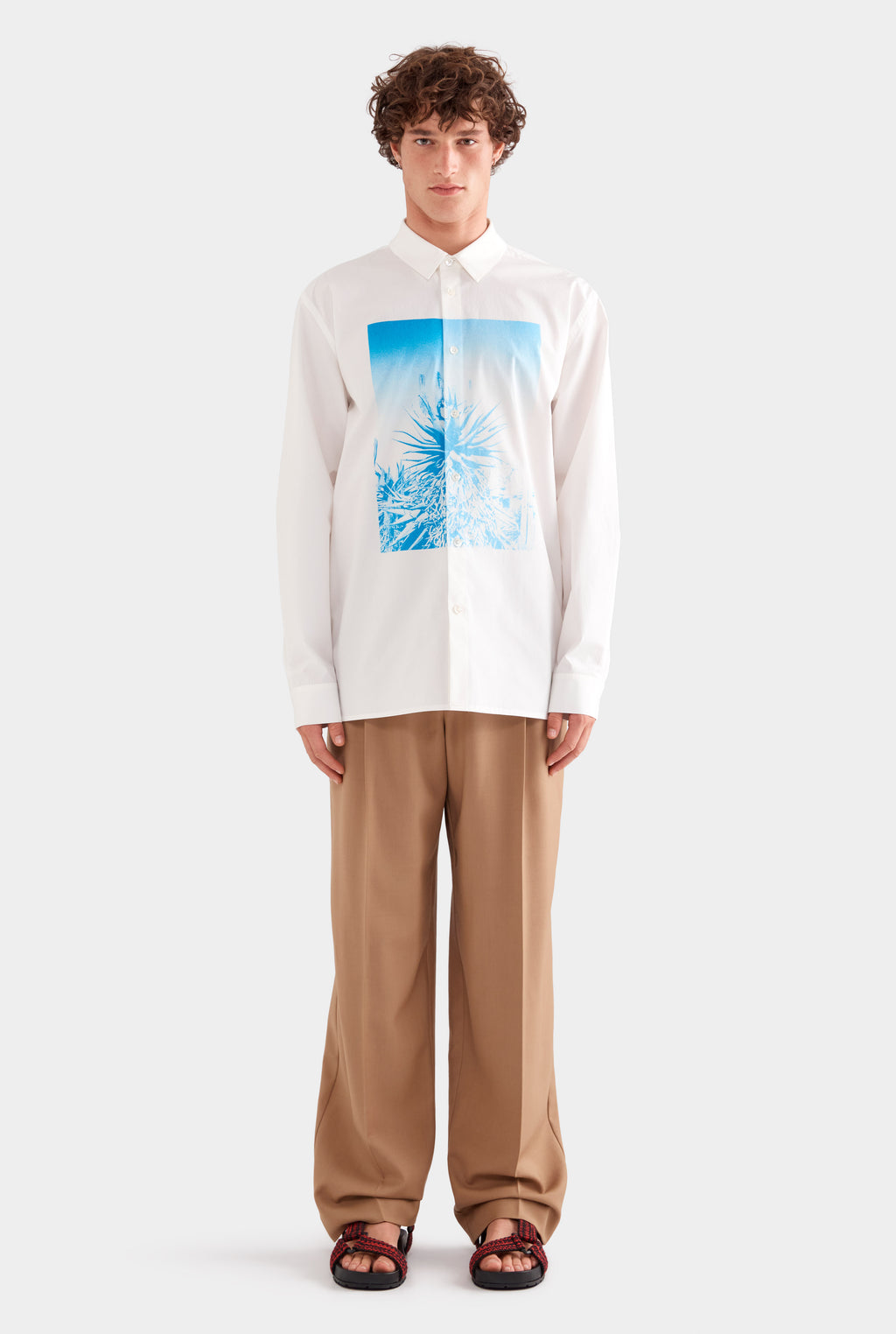 Printed Oversized Cotton Long Sleeve Shirt - White/Cactus Print Negative
