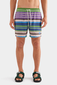 Printed Swim Short - Leaf Green/Violet Multi Stripe
